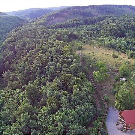 Творча Садиба Svalyava Dış mekan fotoğraf